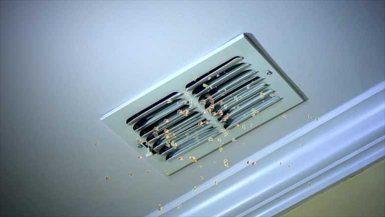 Ductwork Cleaning Services in KS